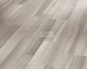 Ламинат Parador Basic Plus 200 1426414 Акация Серая фото 1 | FLOORDEALER
